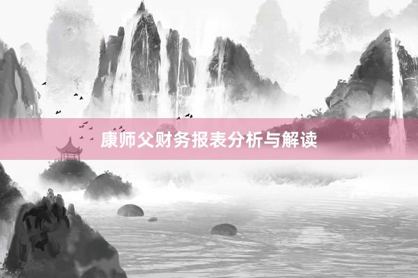 康师父财务报表分析与解读
